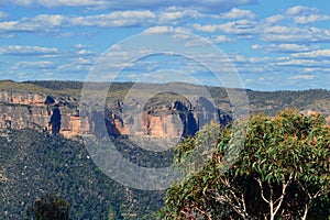 A view in the Blue Mountains of Australia
