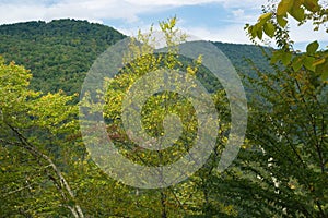 View of the Blue Ridge Mountains