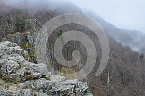 View of the Blue Ridge Mountains at the Little Stony Man mountain overlook hike summit during a foggy spring day. Bare trees, in