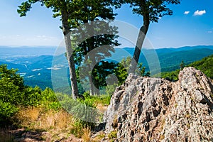 View of the Blue Ridge Mountains and Shenandoah Valley from Jewell Hollow Overlook, in Shenandoah National Park, Virginia.