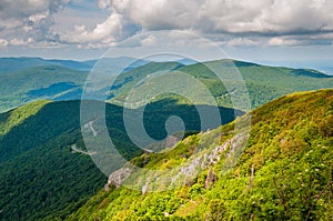 View of the Blue Ridge Mountains and Shenandoah Valley from Stony Man Mountain, in Shenandoah National Park, Virginia.