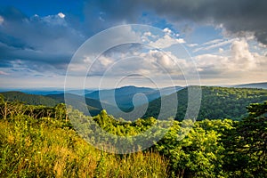 View of the Blue Ridge Mountains from Skyline Drive, in Shenandoah National Park, Virginia.