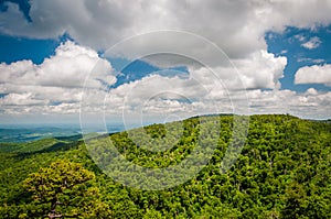 View of the Blue Ridge Mountains from Skyline Drive, in Shenandoah National Park, Virginia.