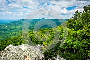 View of the Blue Ridge Mountains from Turk Mountain in Shenandoah National Park, Virginia.