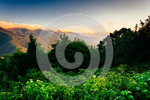 View of the Blue RIdge at sunrise, seen from Mt. Mitchell Overlook on the Blue Ridge Parkway in North Carolina.