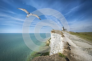 This is a view of the blue sea, Belle Tout Lighthouse, seagulls, road to the lighthouse, East Sussex, England