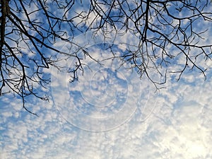 View of blue sky with beautiful crowded cloud, Thailand