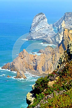 View of the blue water at the coast of Cape Roca with flowering green plants