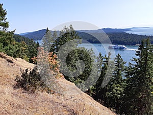 BC Ferries sailing through Active Pass in Gulf Islands