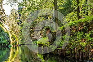 A view from a boat along the Kamenice river in Czech Switzerland