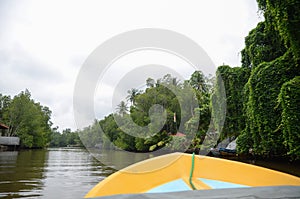 View from a boat on a river with a green tropical forest in the jungle