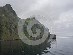 view from boat on steep green Hornbjarg cliffs biggest bird cliffs in Europe, west fjords, remote nature reserve Hornstrandir in