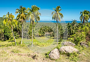 View of Bohol island Phils