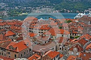 Top view of the old town of Kotor photo