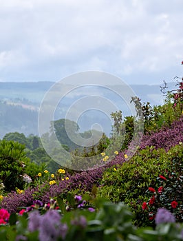 View of Bolfracks Garden on the Bolfracks Estate near Aberfeldy, in Highlands, Scotland UK. Rolling hills of the Tay Valley in the