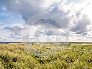 View from Boschplaat with salt marshes and dunes on Terschelling island to tidal flats at low tide of Waddensea, Netherlands photo