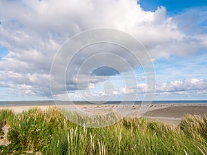 View from Boschplaat on Terschelling island to tidal outlet Born