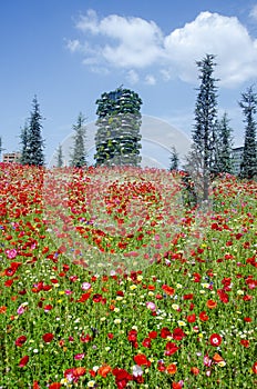 View of the Bosco Verticale seen from the Biblioteca degli Alberi BAM. Milan. Italy. Flowering fields