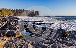 View from Botanical Beach at Juan De Fuca Provincial Park on a wavy day on the coast