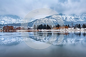 A view of botanical garden with lake in winter season, Srinagar, Kashmir, India