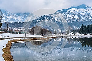 A view of botanical garden with lake in winter season, Srinagar, Kashmir, India