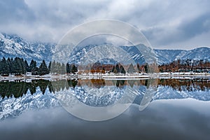 A view of botanical garden with lake in winter season, Srinagar, Kashmir, India