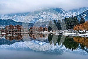 A view of botanical garden with lake in winter season, Srinagar, Kashmir, India