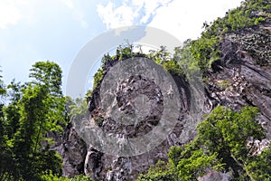 View from the bottom of the cliff. mountain peak and clear sky, green tree with white clouds