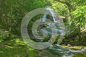 View from the Bottom of Roaring Run Waterfall