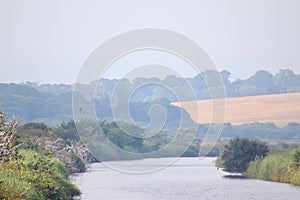View of Brading Marshes photo