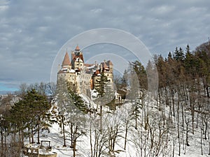 View of Bran Castle