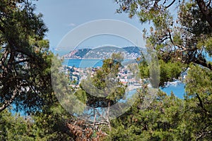 View through the branches of coniferous trees to the islands in the sea. Travel to Adalar photo