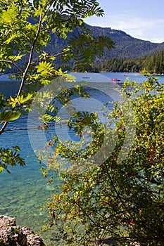 View through branches to lake eibsee