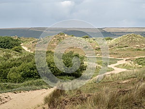 View of Braunton Burrows sand dune landscape, North Devon, UK. SSSI and part of Biosphere.
