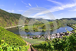 View of Bremm at the Mosel with Moselschleife