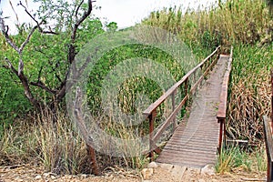 Bridge Boardwalk in Las Lagunas de Anza Wetlands photo