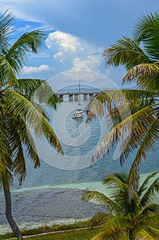 View of a bridge and bote between palm trees photo