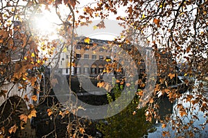 View from the bridge of Fabricius in Rome