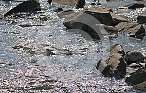 GLISTENING SUN SPARKLES ON MOVING RIVER STREAM