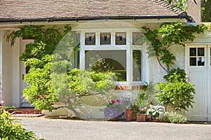 View of brightly Irish house front with traditional colored england entrance door.