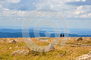 view from Brocken Harz to other hills