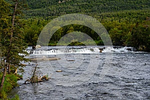 View of brown bears fishing at Brooks Falls, Katmai National Park, Alaska