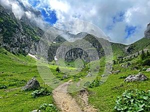 the view of Bucegi mountains during summer