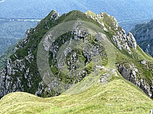 the view of Bucegi mountains during summer