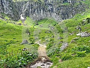 the view of Bucegi mountains during summer