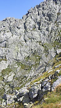 Hiking on Bucsoiu mountain in a summer day