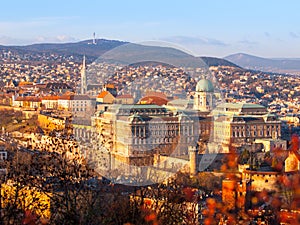 View of Buda Castle from Gellert Hill on sunny evening, Budapest, Hungary, Europe, UNESCO World Heritage Site