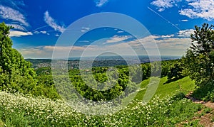 View of Budapest over hillside slope in sunny weather