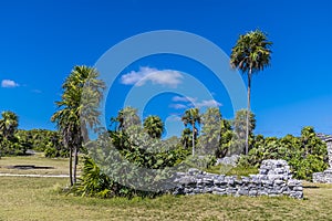 A view of building ruins amongst palm trees at the Mayan settlement of Tulum, Mexico