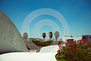 View of the buildings of the City of Monterrey